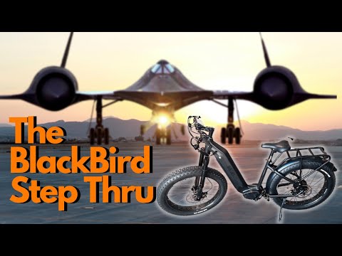 We made an Electric Bike That is Faster, Lighter, It's Easy to Ride!