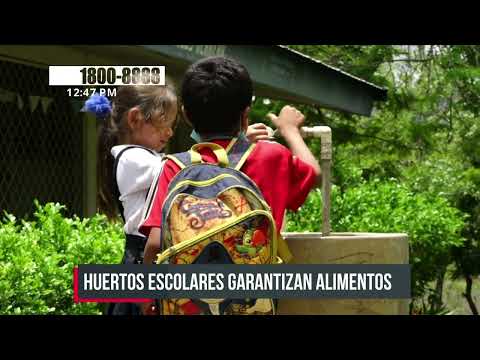 MINED promueve seguridad alimentaria y nutricional en colegios de Somoto - Nicaragua