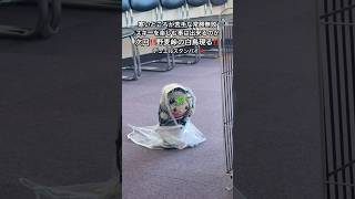 本当に寒いの苦手でウィンタースポーツから逃げてきた人生、に終止符　【野麦峠スキー場/常勝無敗ぐぬぬ】