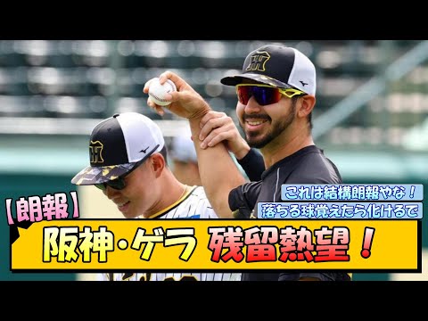 【朗報】阪神・ゲラ　残留熱望！【なんJ/2ch/5ch/ネット 反応 まとめ/阪神タイガース/岡田監督】