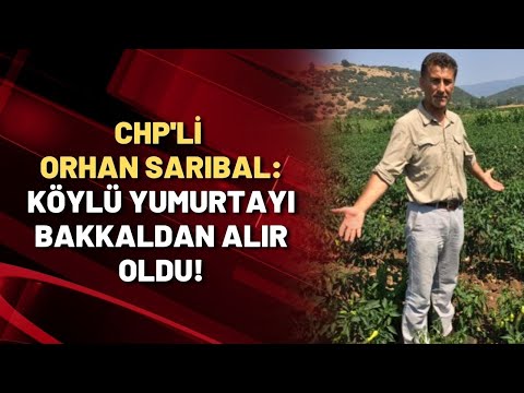 CHP'li Orhan Sarıbal: Köylü yumurtayı bakkaldan alır oldu!