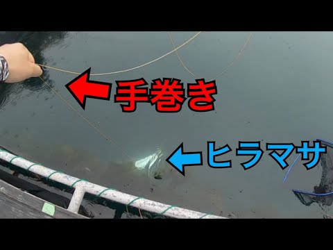 オーパコースで青物を手巻きで釣る【オーパ】釣ガチ海上釣堀#236