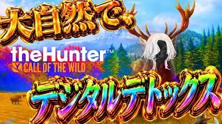 たまには朝に自然を満喫したっていいじゃない【 theHunter: Call of the Wild™ / ホロスターズ 】