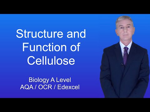 Biology A Level Structure and Functions of Cellulose