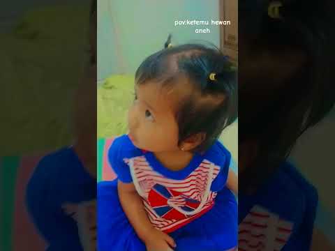 kalian tau hewan apa kalian nonton hari apa aku bikin nya hari sabtu