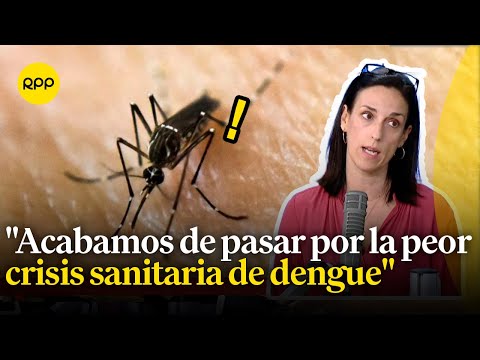El Perú es un país endémico para dengue, afirma la directora del Laboratorio de Genómica de la PUCP