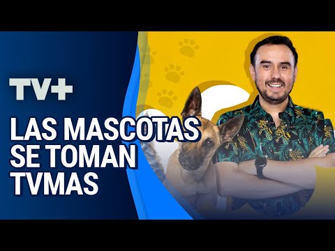 TVMascotas | 19 de Marzo de 2023