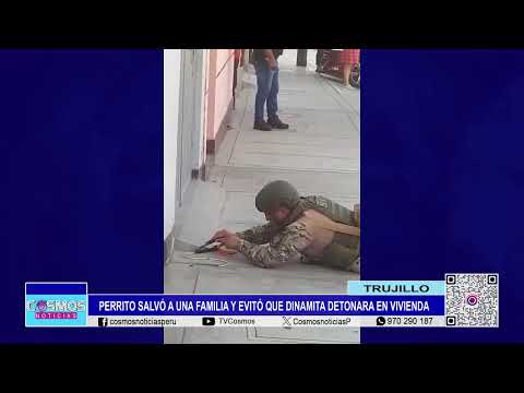 Trujillo: perrito salvó a una familia y evitó que dinamita detonara en vivienda