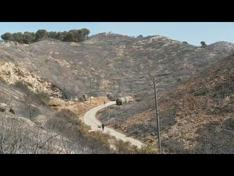 Wildfire leaves trail of destruction in northern Marseille | AFP