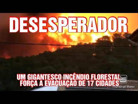 DESESPERADOR! UM GIGANTESCO INCÊNDIO FLORESTAL FORÇA A EVACUAÇÃO DE 17 CIDADES. IMPRESSIONANTE!