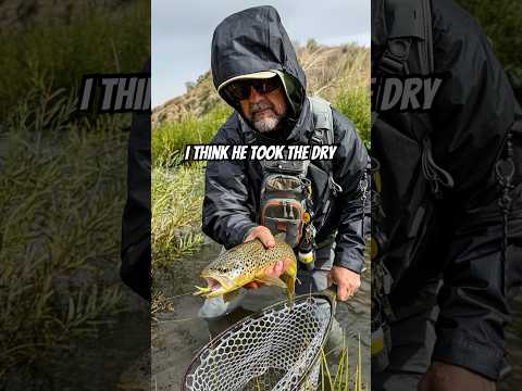 Precision, power, and packability—the Winston Air 2 five-piece