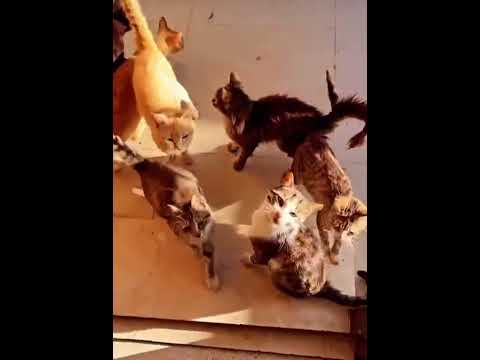 😄😄😄😄😄😄