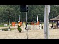Show jumping horse 5 JARIG SPRINGPAARD