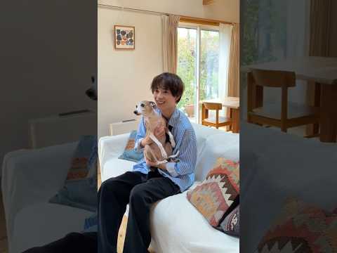 【水沢林太郎】愛犬・鈴と撮影【Pet Pop SQUARE】#shorts