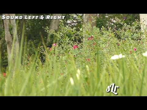 Sholawat Ansyadtukum Nasyidal Islami