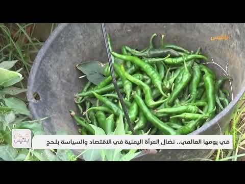قناة بلقيس الفضائية