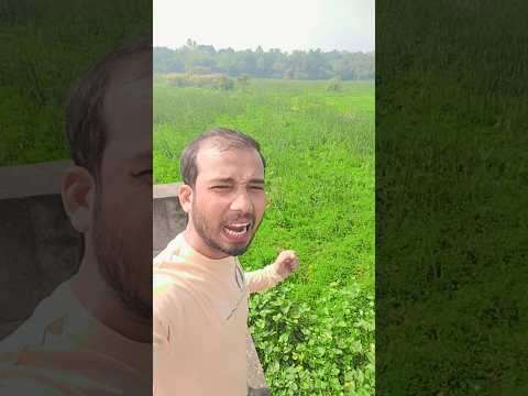 আমি পেরেছি আমি এখন পৃথিবীর সবথেকে উচু বিল্ডিংয়ে দাড়িয়ে #comedy #shorts #funny