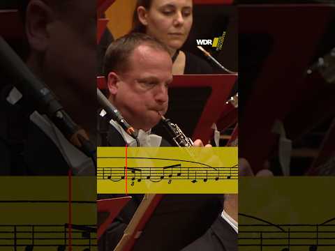 This #oboe solo feels like a bouquet of roses 🌹 #rosenkavalier #classicalmusic