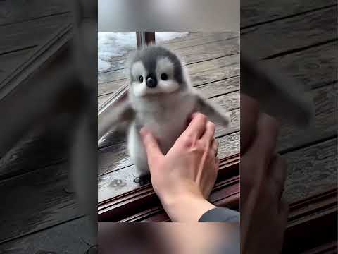 🥰🥰🥰🥰 #cover #song #love #highlights