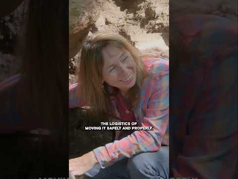 What’s Under That Rock? | The Curse of Oak Island | #shorts