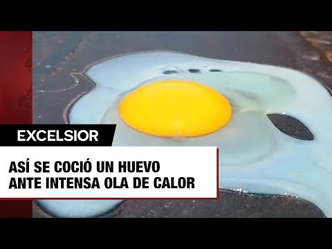 Así se coció un huevo en el pavimento ante intensa ola de calor en Veracruz