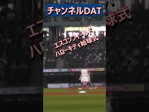 キティちゃん始球式！＃エスコンフィールド＃ハローキティ＃shorts
