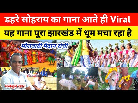डहरे सोहराय पर्व का गाना आते ही Viral || यह गाना पूरा झारखंड में धूम मचा रहा है। #sohrai #gana#viral