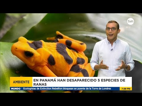 Panamá ya sufre las graves consecuencias del calentamiento global