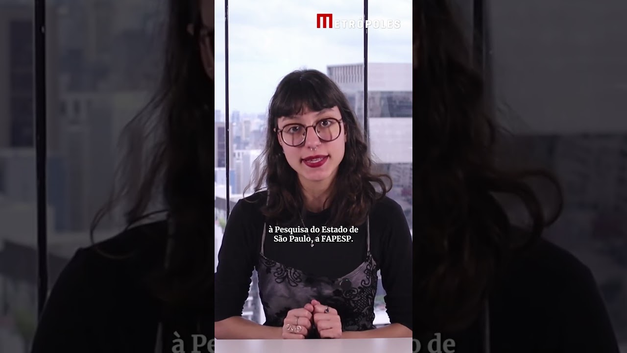 Carne vegana feita de girassol é a novidade da ciência TV Online Carne vegana feita de girassol é a novidade da ciência