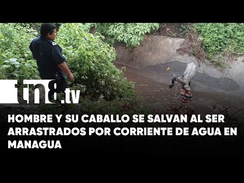 Hombre y su caballo se salvan de morir tras ser arrastrados por corriente de agua en Managua