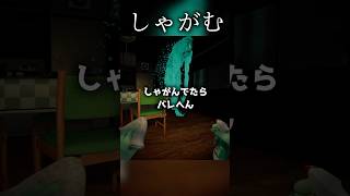 しゃがんだら助かる...?【しずかなおそうじ】