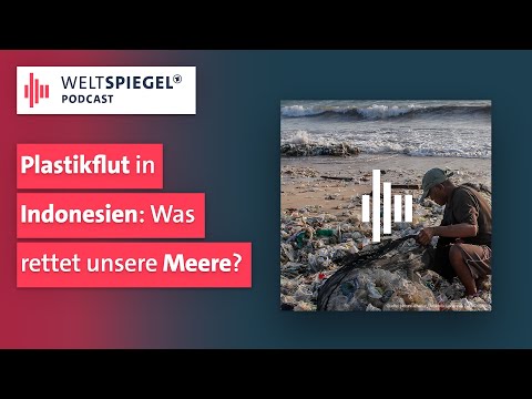 Warum Plastikzertifikate allein keine Lösung sind | Weltspiegel Podcast