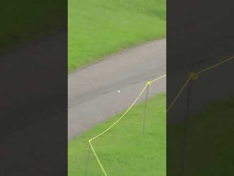 PAR5 연장전에서 나온 역대급 진귀한 장면