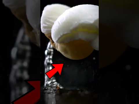 Perché se li cucini ESPLODONO?💥 - Edonikko