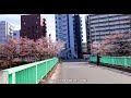 面影橋（おもかげばし) Omokagebashi