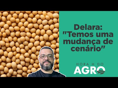 Preço da soja vai subir, saiba quando! | HORA H DO AGRO