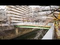 大滝橋（おおたきばし) 神田川