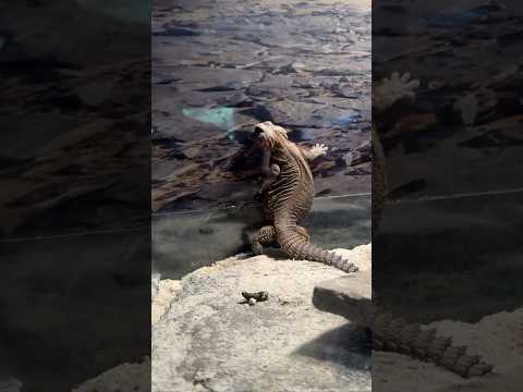 #ислам #севги#любовьжизнь