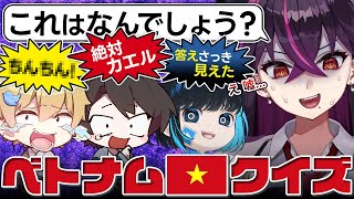 【大人気企画(自称)】全員ボケ担当、ツッコミ不在の大乱闘ベトナム🇻🇳クイズwww【毒☆あきお/キムテス/あーずかい/おっP/毒ヶ衣ちなみ】