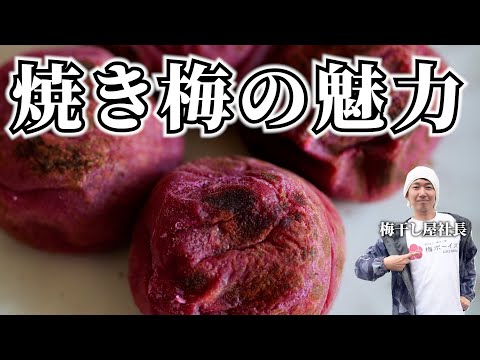 【200万再生】焼き梅の健康効果と活用法を徹底解説します