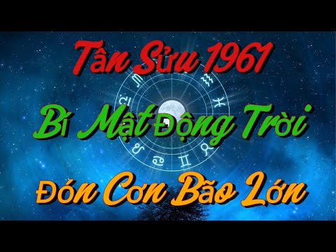 BÍ MẬT ĐỘNG TRỜI: Tân Sửu 1961 Chuẩn Bị Đón CƠN BÃO LỚN Trong Đại Vận 2025 !