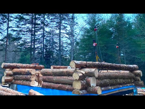 Heavy Lifting Alone! Building an Off Grid Log Cabin in the Woods | Alone in the Wilderness, Ep6