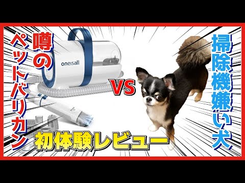 【初体験】掃除機嫌いな犬に話題のペット用バリカンセットを使った結果…【Oneisall】