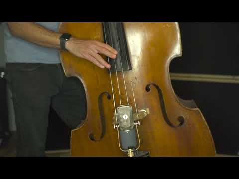 The MA-37 x Upright Bass