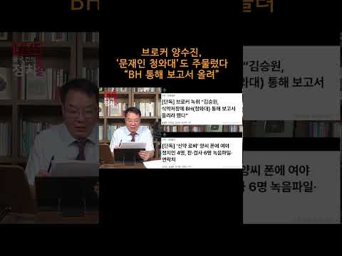 [송국건TV] 브로커 양수진, ‘문재인 청와대’도 주물렀다 “BH 통해 <strong>보고서</strong> 올려”