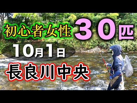 【初心者女性が30匹の釣果】10月に入った長良川で友釣り2年生が元気で黄色い良型と遊びました【2025年アユ釣り】