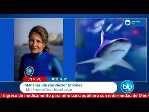 ¿Prohibición de pesca de tiburón es es una idea de yupicitos y gomelos? Debate Blu