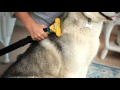 Furminator best sale vacuum accessories