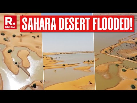 Rare Deluge Leaves Sahara Desert Flooded In Morocco, Receives Most Rainfall In 30 Years