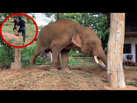 เกิดอะไร❓กับ-พลายหนุ่มเสก~ต้อง เกิดอะไร❓กับ-พลายหนุ่มเสก~ต้อง